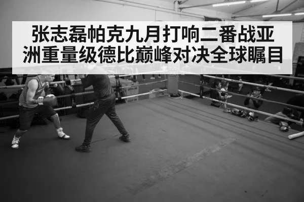boxer training gym