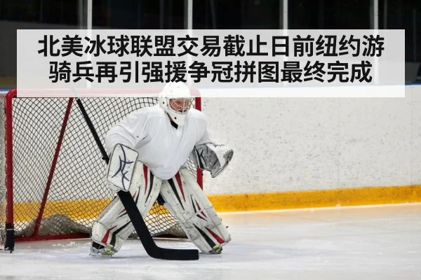 北美冰球联盟交易截止日前纽约游骑兵再引强援争冠拼图最终完成